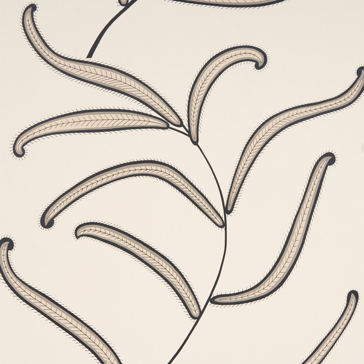 Caterpillar Leaf Wallpaper Sample - Black And Cream