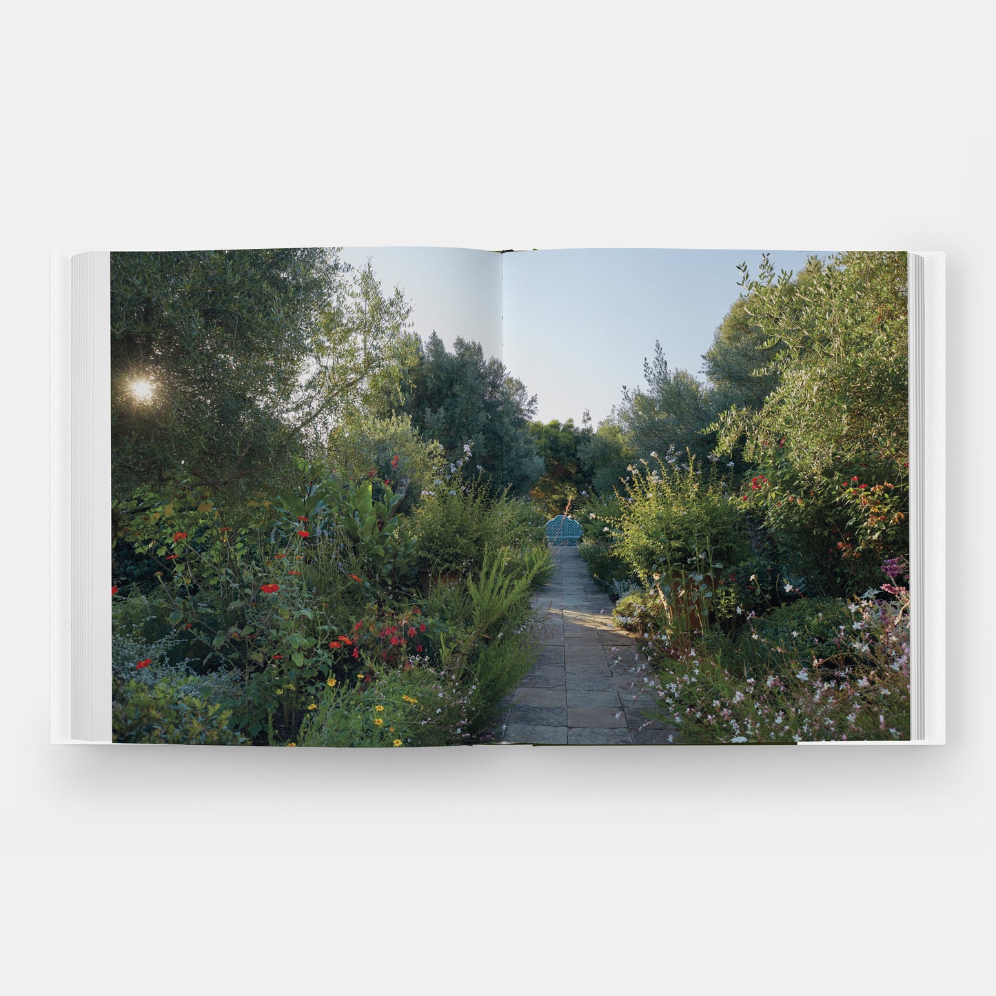 Glorious Gardens