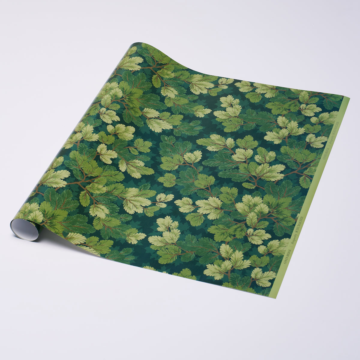 Covey Hedge Wrapping Paper - Forest