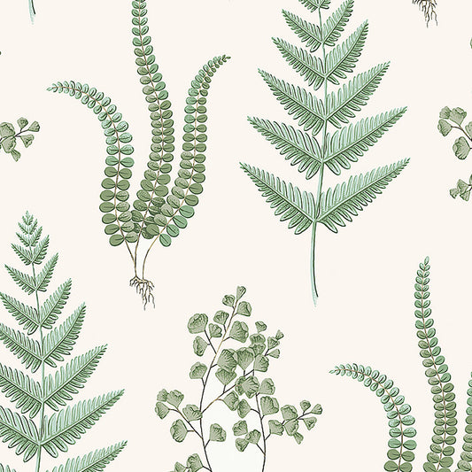 Herba Wallpaper Sample - Leaf