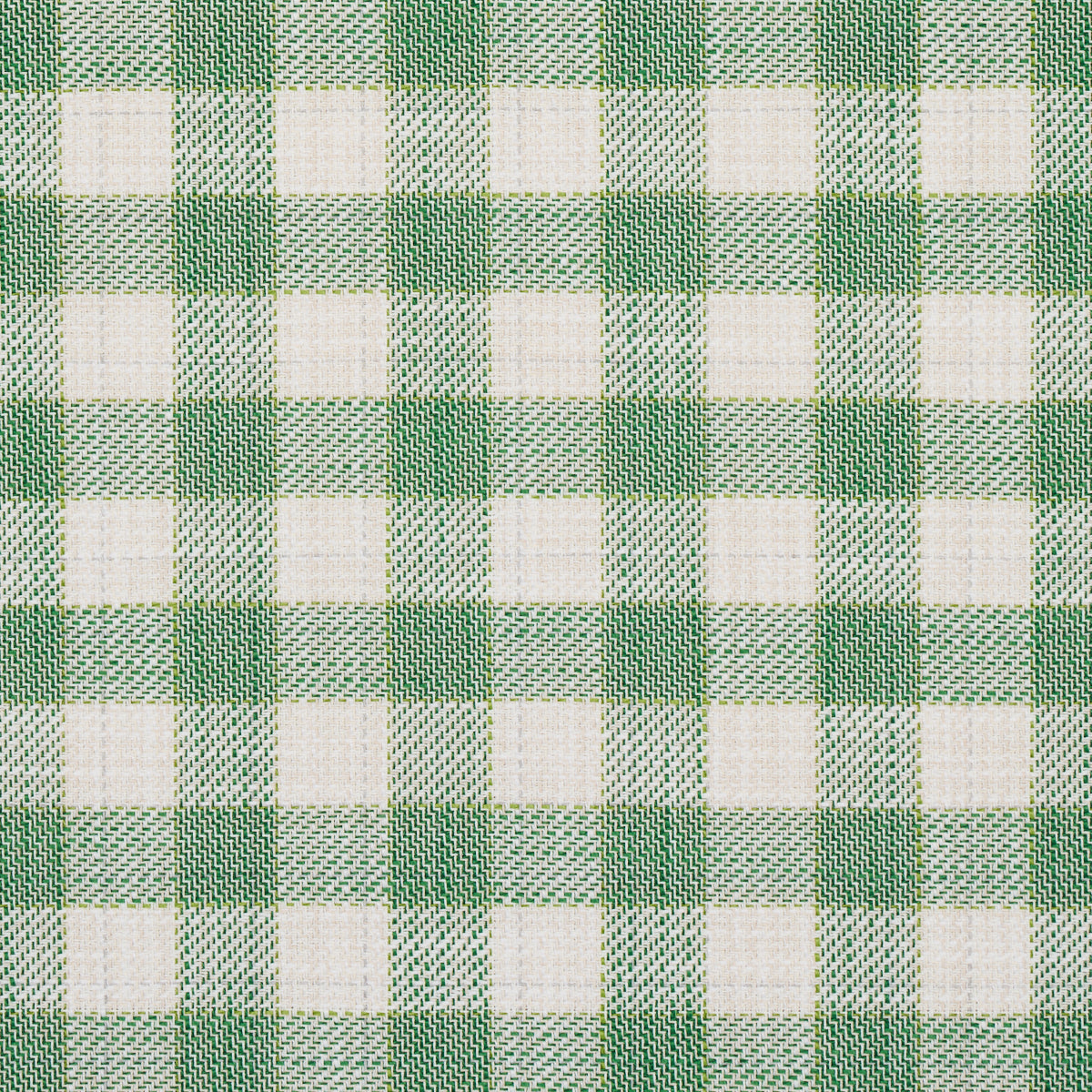 Martina Plaid Indoor/Outdoor Fabric Sample - Green