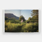 At Home In Nature (Pre-Order)