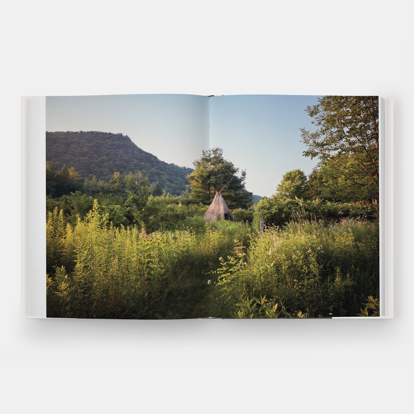 At Home In Nature (Pre-Order)