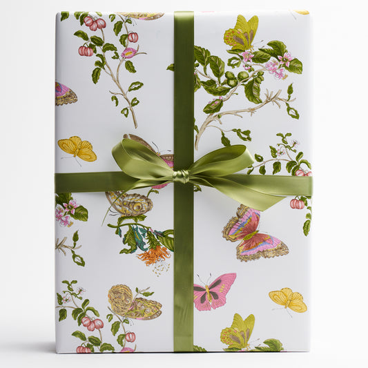 Baudin Butterfly Wrapping Paper